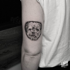 tatuaje_brazo_perrito_logiabarcelona_kata